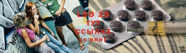 гидра Богородск