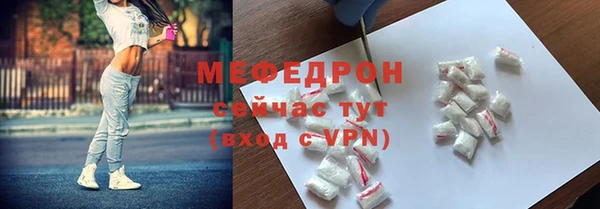 гидра Богородск