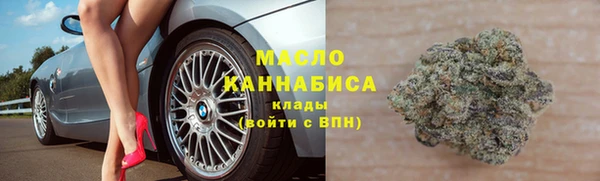 гидра Богородск