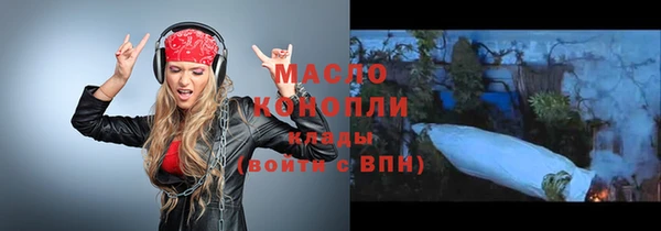 гидра Богородск