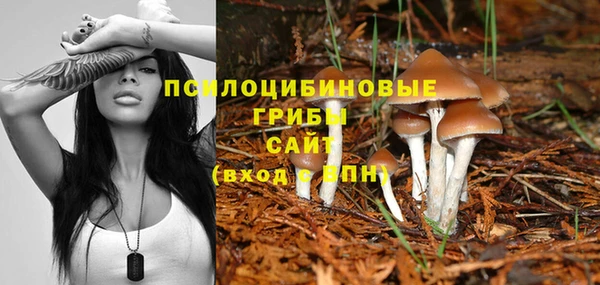прущая мука Богданович