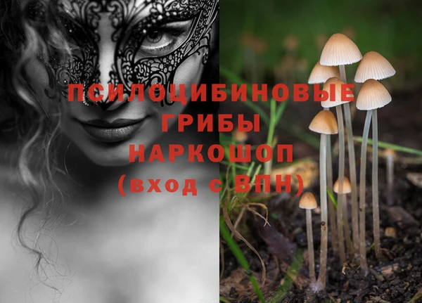 прущая мука Богданович