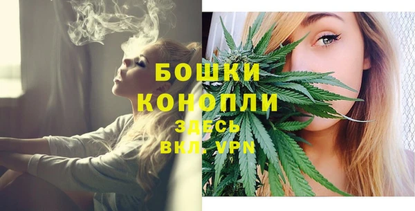 прущая мука Богородицк