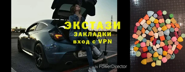 гидра Богородск